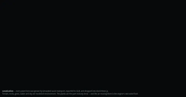 Screenshot of canalisation
