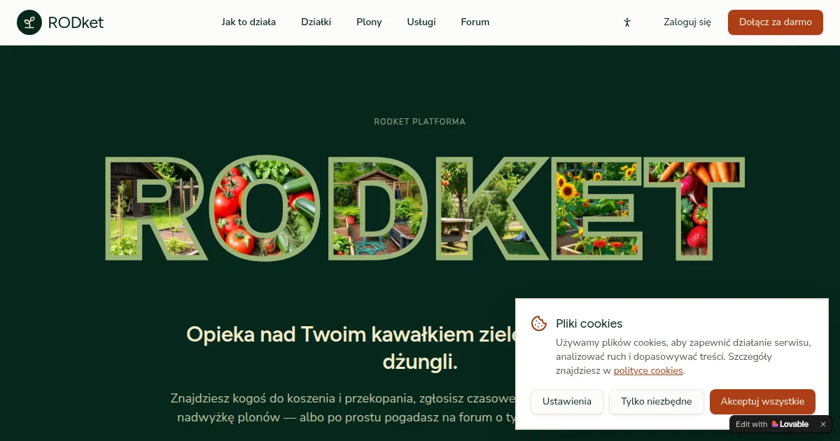 Screenshot of RODket