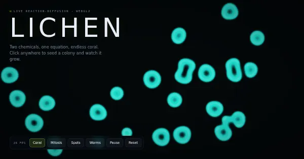 Screenshot of lichen