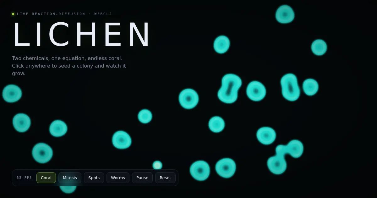 Screenshot of lichen