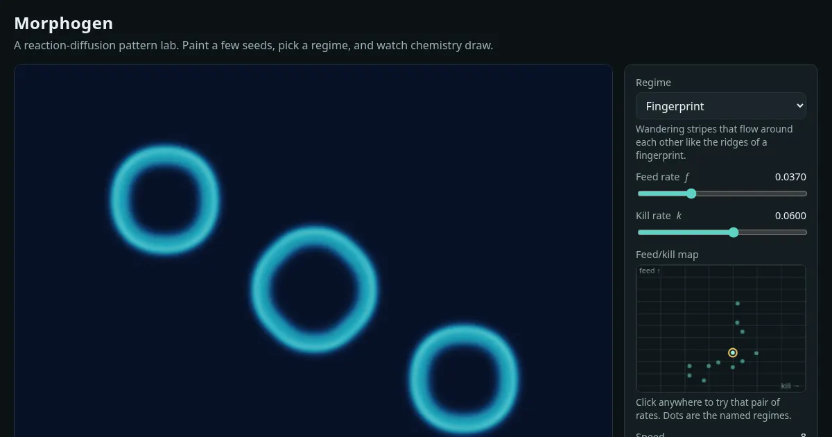 Screenshot of morphogen