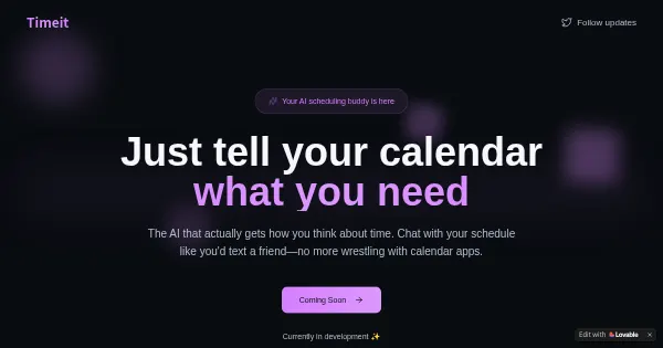 Screenshot of timeit chat flow