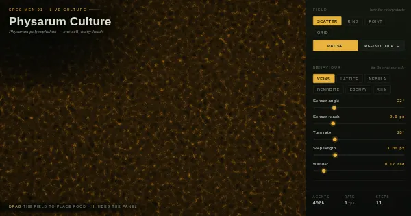 Screenshot of physarum culture