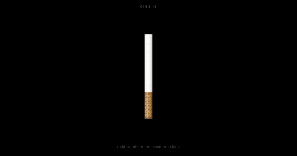 Screenshot of CigSim