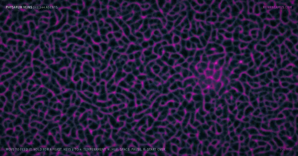 Screenshot of physarum