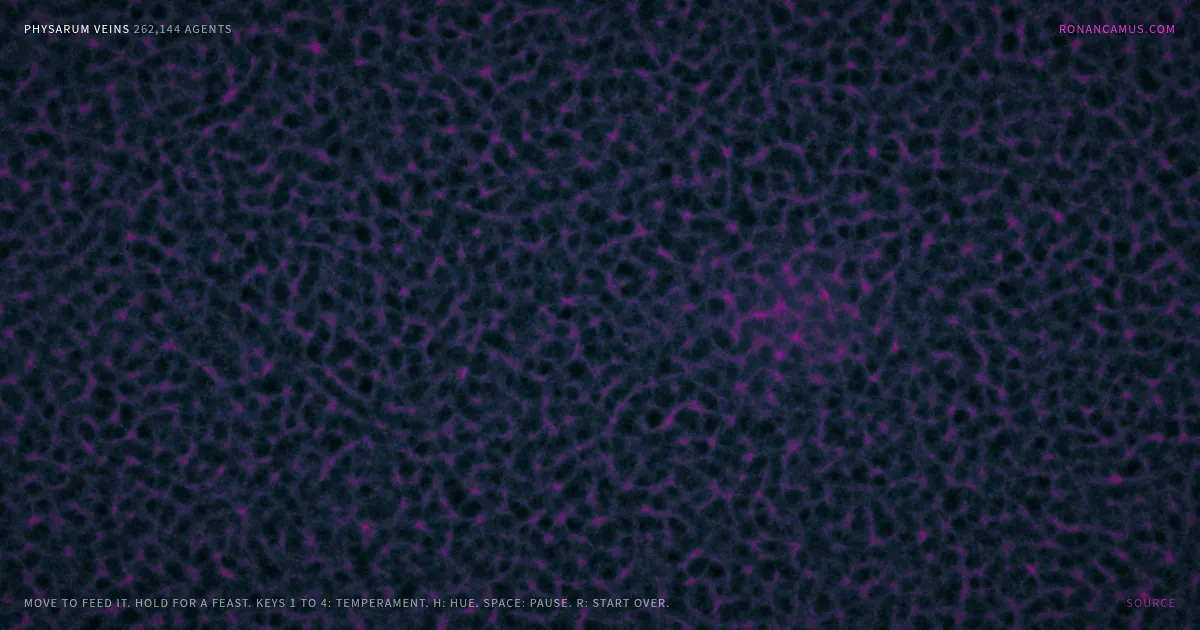 Screenshot of physarum