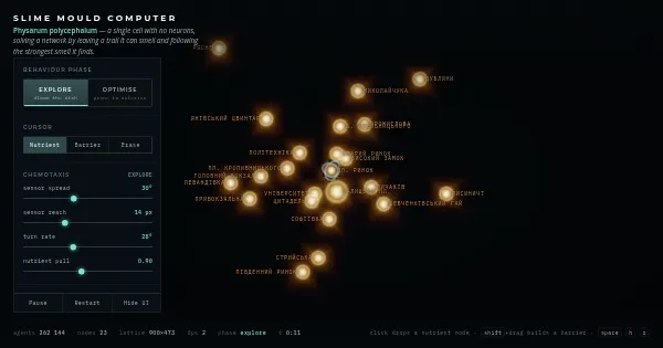 Screenshot of slime mould computer