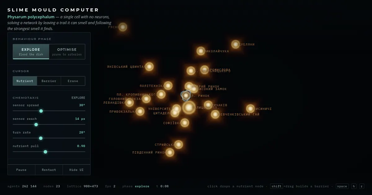 Screenshot of slime mould computer