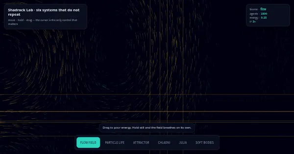 Screenshot of playground