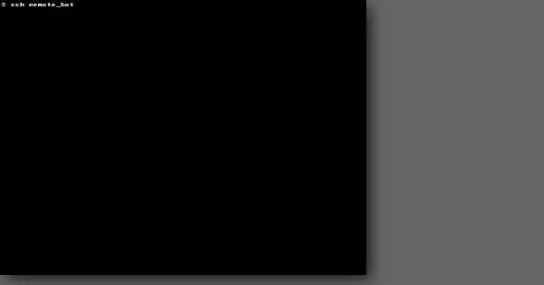 Screenshot of Remote Bot